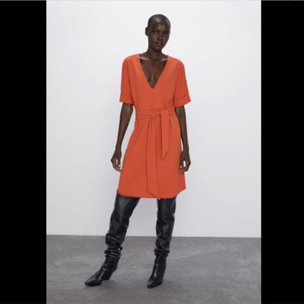 Zara Belted Dress
